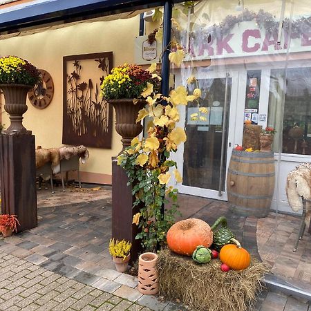 Ferienwohnungen Park Café am Kurpark Commune fusionnée de Commune fusionnée de Bernkastel-Kues Extérieur photo